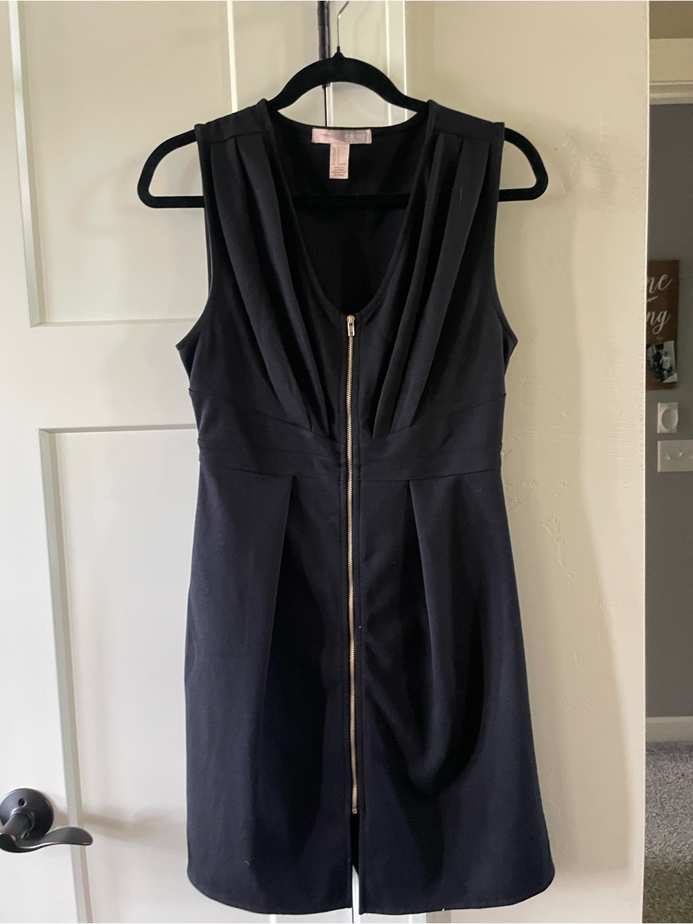 Forever 21 Black Sleeveless Zip-Front Pleated V-Neck Mini Dress